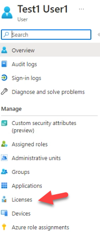 Intune Admin Center Licenses